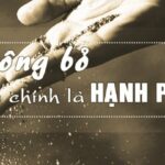 Bám Chấp và Phán Xét: Những Sợi Dây Buộc Chặt Khổ Đau